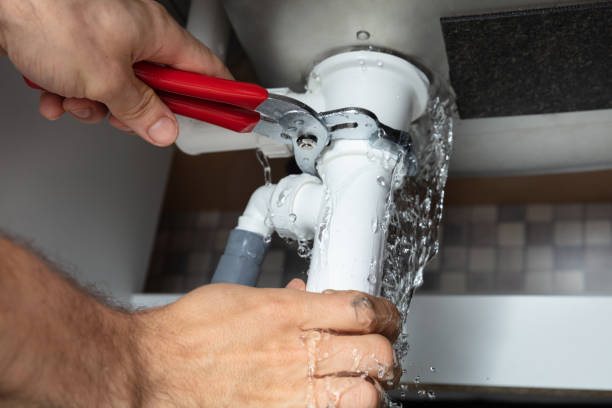 Best Water damage restoration specialists  in Davie, FL
