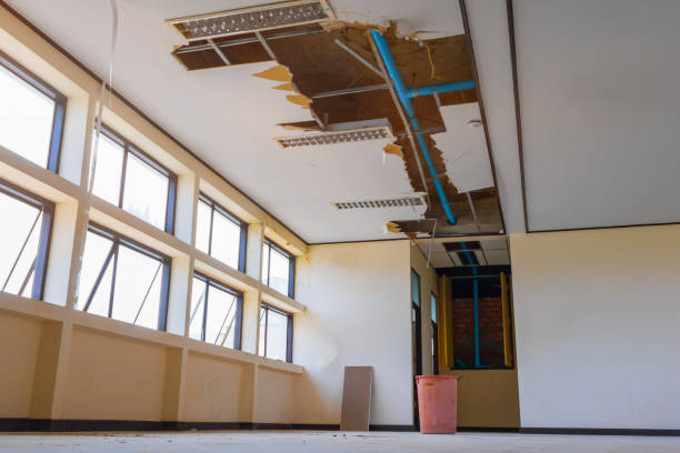 Best Flood restoration services  in Davie, FL