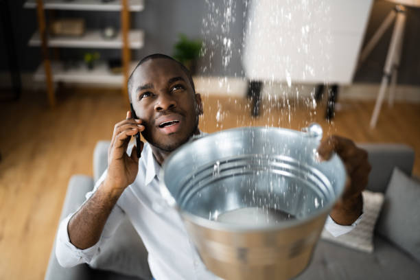 Best Commercial water damage restoration  in Davie, FL