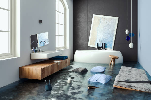 Best Water damage restoration near me  in Davie, FL