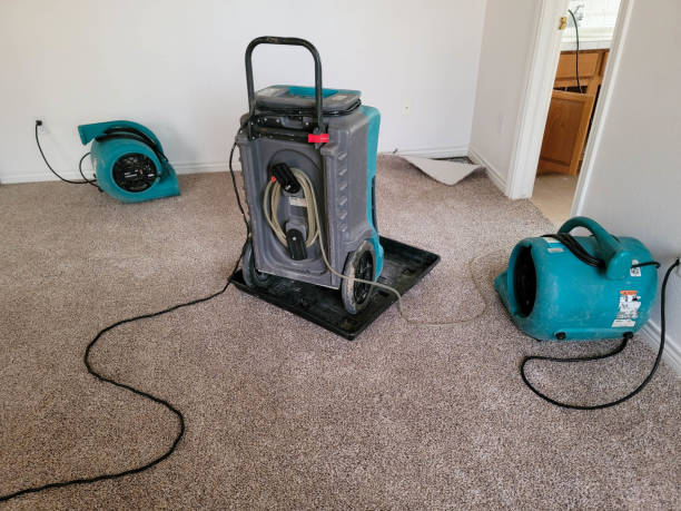 Best Professional water damage repair  in Davie, FL
