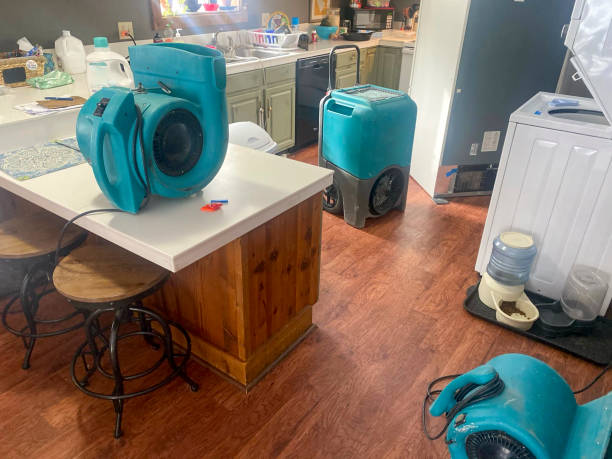 Best Emergency water damage restoration  in Davie, FL