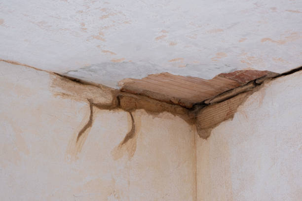  Davie, FL Water damage restoration Pros