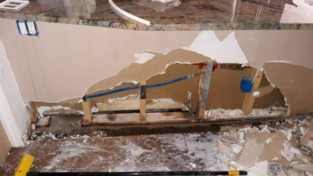 Best Water damage contractors near me  in Davie, FL
