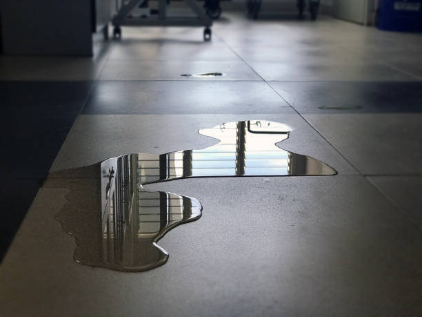 Best Water damage cleanup near me  in Davie, FL