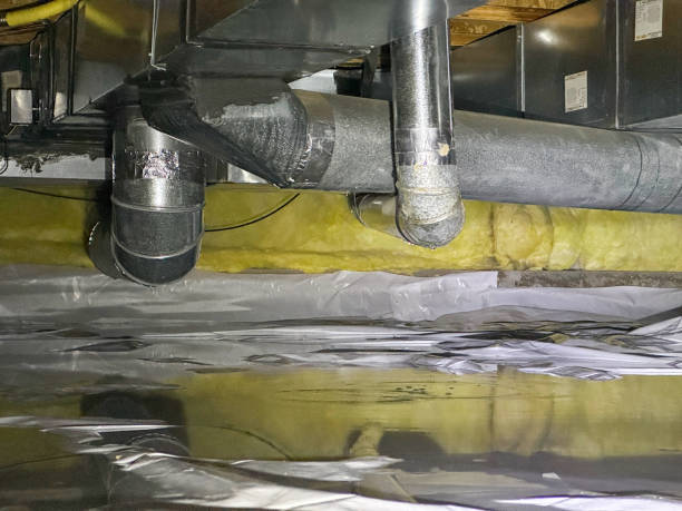 Best Flood damage cleanup  in Davie, FL
