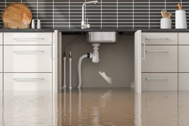 Best Ceiling water damage repair  in Davie, FL