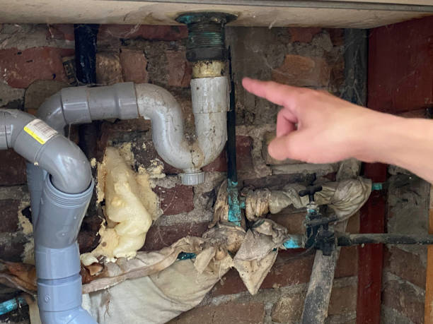 Best Mold removal after water damage  in Davie, FL