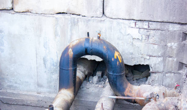 Best Water damage restoration near me  in Davie, FL