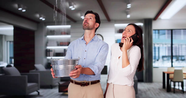 Best Residential water damage restoration  in Davie, FL